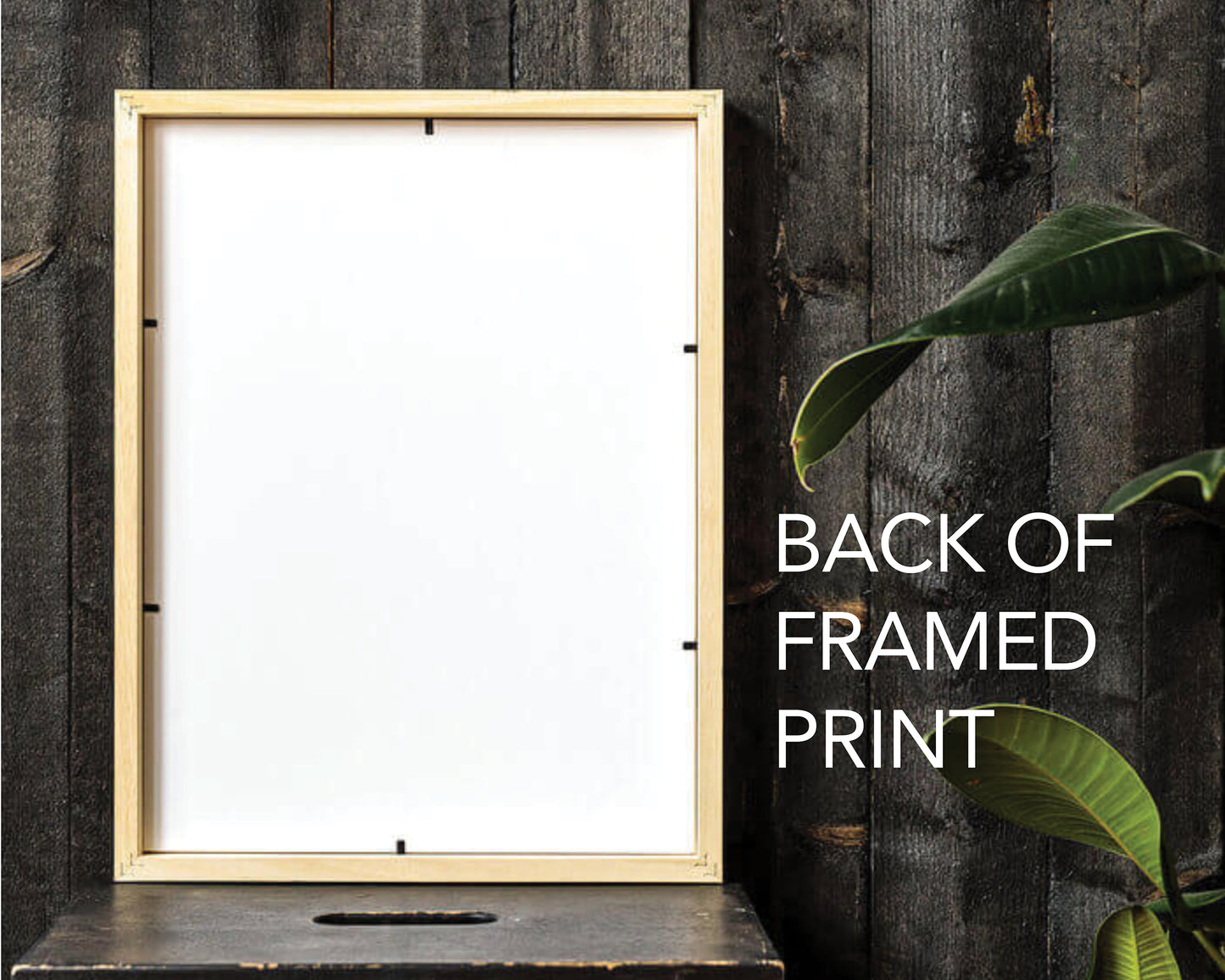 FOX GLACIER, West Coast, New Zealand Art Print